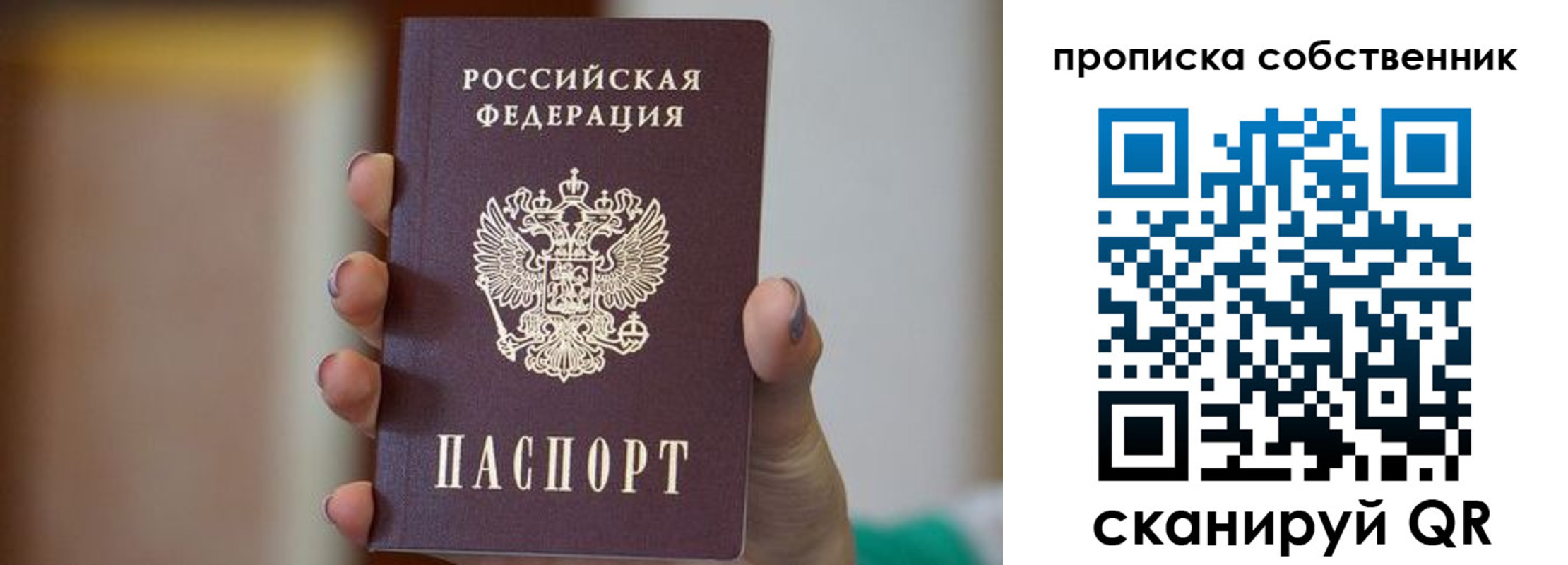 прописка поиск в Снежногорске